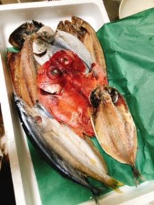 image0.jpeg {CAPTION}